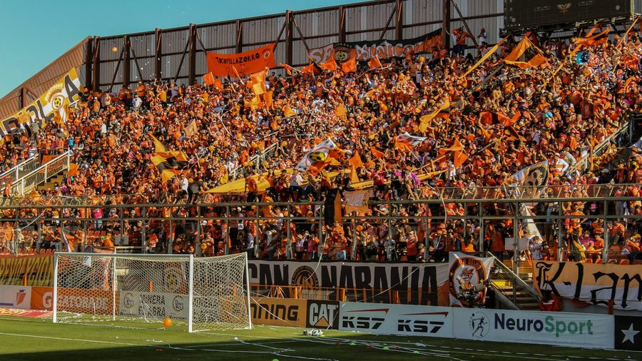 米乐体育 APP — 备案与主体（资质公示示意配图）